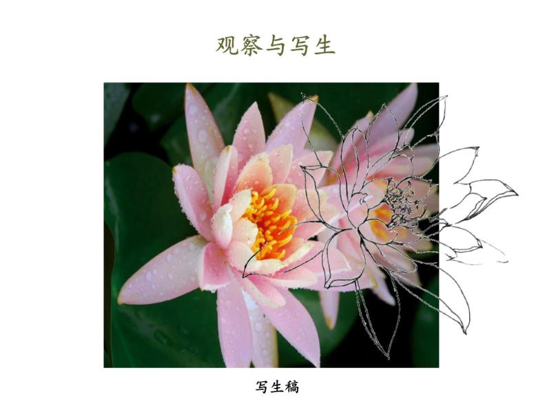 浙美版初中美术七年级上册 4.生活中的纹样   课件04