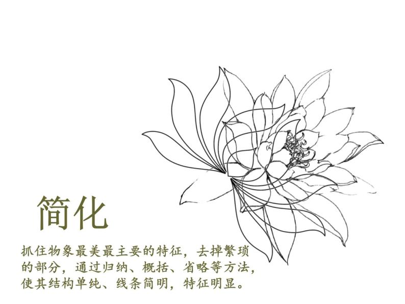 浙美版初中美术七年级上册 4.生活中的纹样   课件05