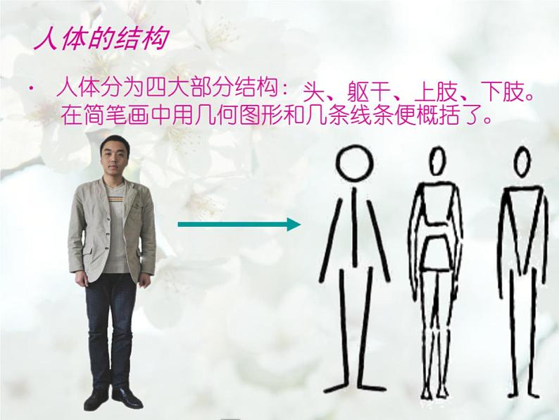 浙美版初中美术八年级上册 3.手绘简笔人物 课件第7页
