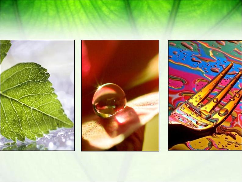 浙美版初中美术九年级下册 8.发现不一样的美 课件3第3页