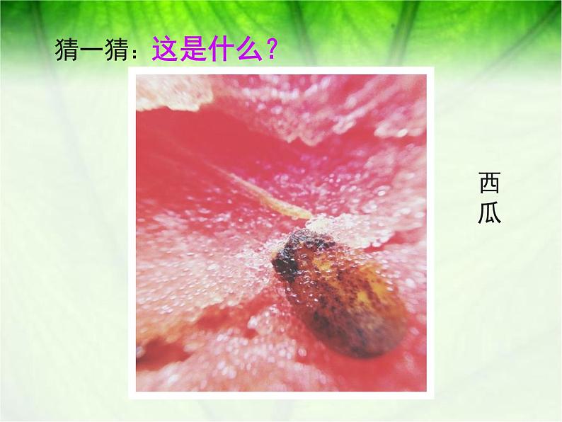 浙美版初中美术九年级下册 8.发现不一样的美 课件3第4页