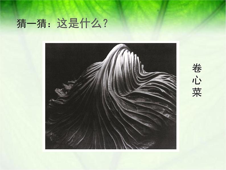 浙美版初中美术九年级下册 8.发现不一样的美 课件3第7页