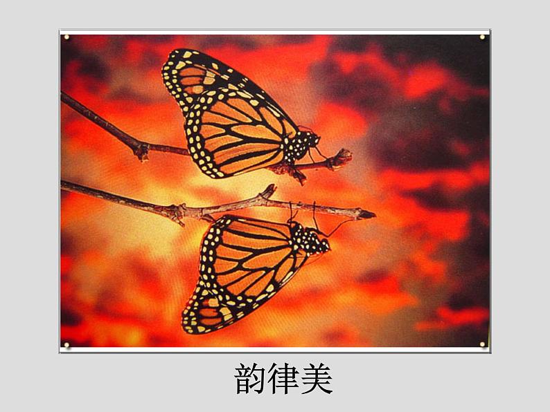 岭南版初中美术七年级下册 6 肌理与应用 课件06