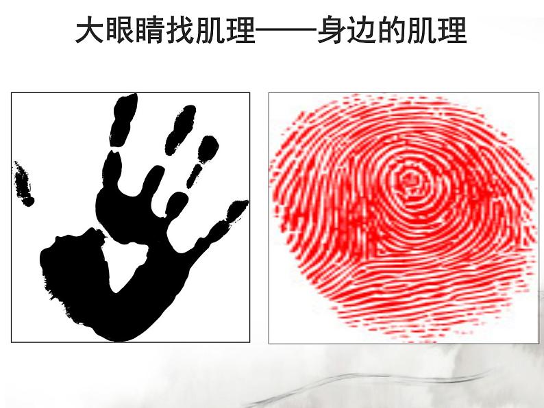 岭南版初中美术七年级下册 6 肌理与应用 课件1第4页