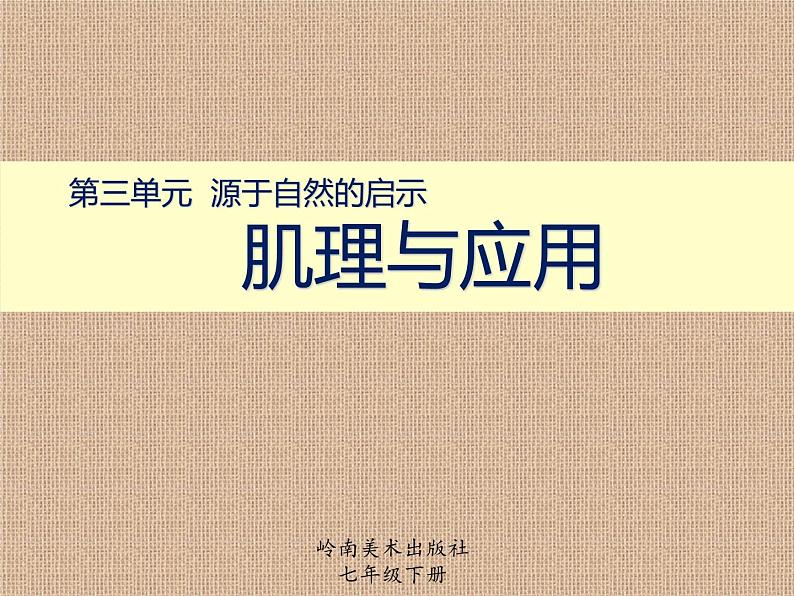 岭南版初中美术七年级下册 6 肌理与应用 课件201