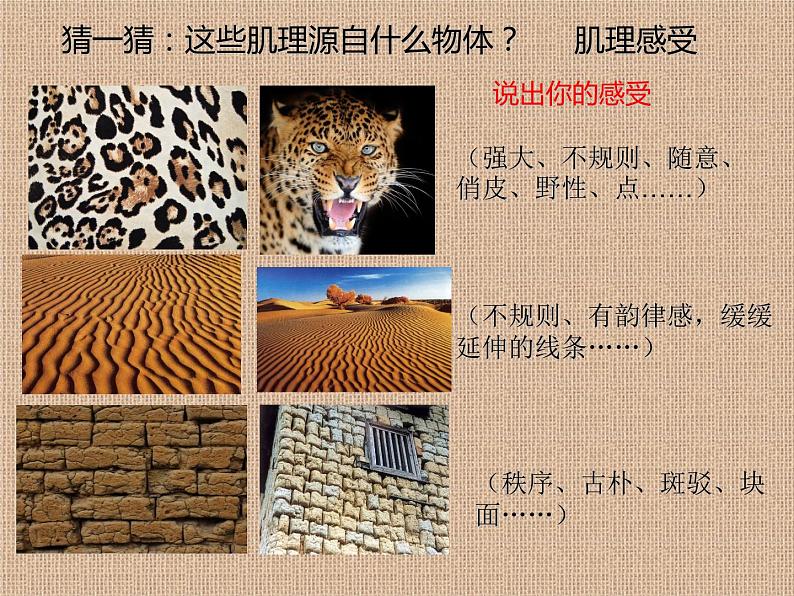 岭南版初中美术七年级下册 6 肌理与应用 课件206