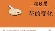 初中美术苏少版七年级上册第6课 花的变化背景图课件ppt