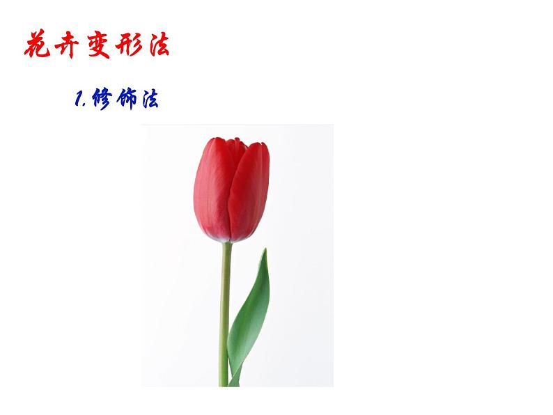 冀美版初中美术七年级下册 3.花卉装饰画 课件2第7页