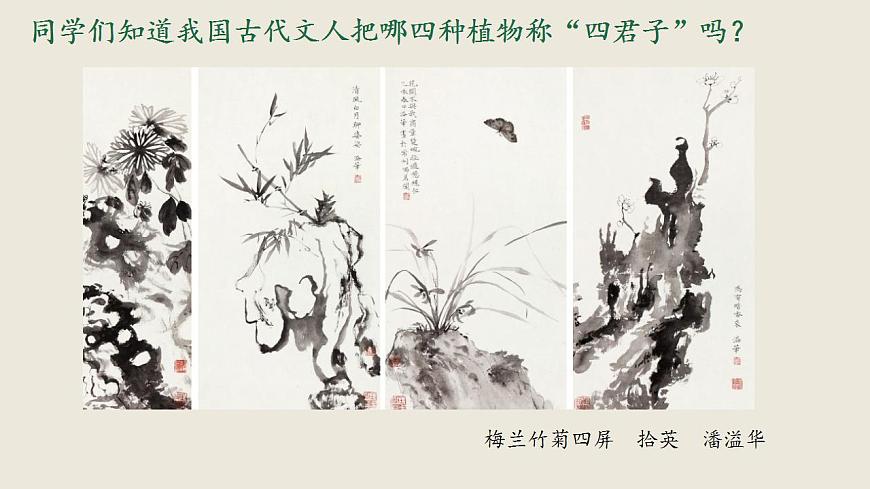 第二課 梅竹言志 課件 2024-2025 學(xué)年湘美版初中美術(shù)八年級上冊第4頁