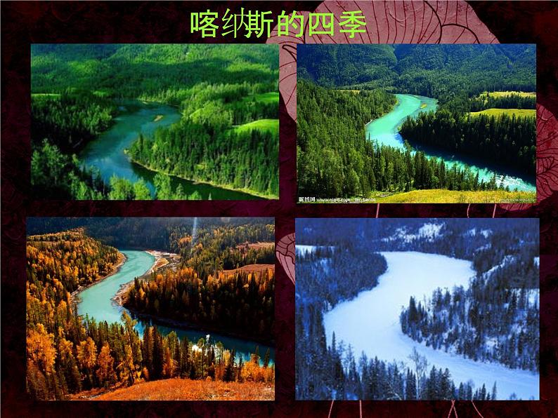 人美版美术七年级上册6. 大自然的色彩课件01