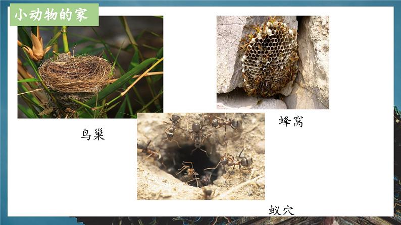 2023-2024学年九年级上精品课课件魅力永恒的建筑04