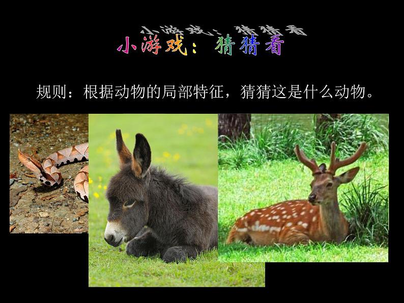 人美版美术七年级上册3 大家动手做条龙课件第1页