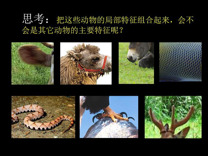 人美版美术七年级上册3 大家动手做条龙课件第3页