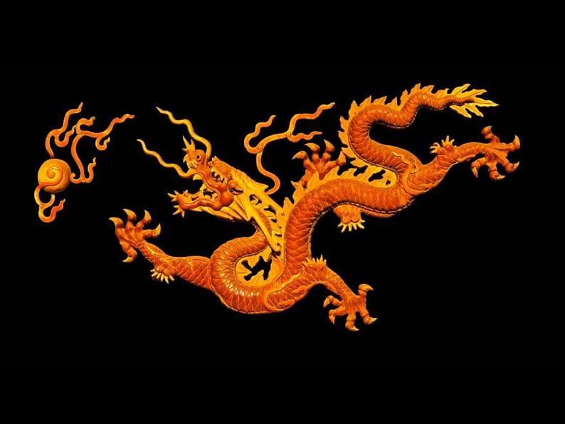 人美版美术七年级上册3 大家动手做条龙课件第4页
