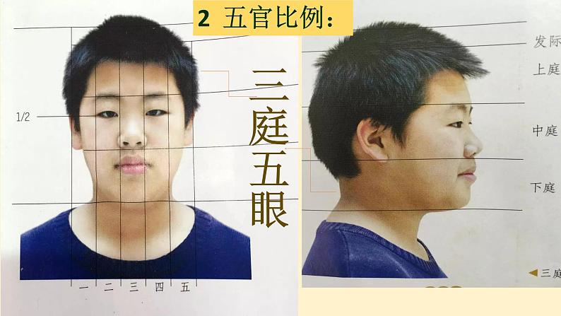 人教版美术七年级上册 第二单元 第一课 小伙伴(4) 课件06