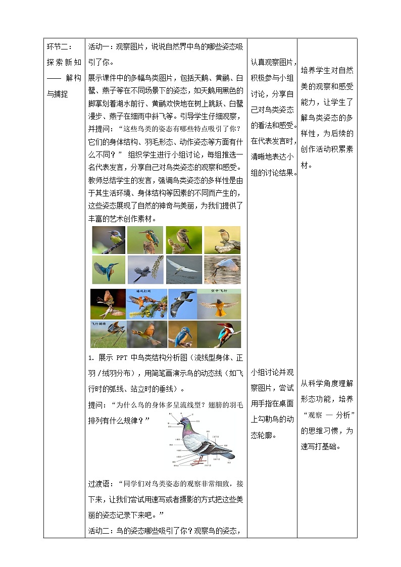 第12課《翩翩起舞之鳥(niǎo)》核心素養(yǎng)教學(xué)設(shè)計(jì)第2頁(yè)