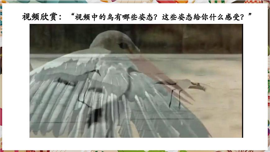第12課《翩翩起舞之鳥(niǎo)》精美課件（25頁(yè)）第2頁(yè)