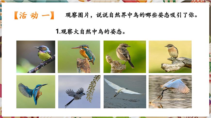 第12課《翩翩起舞之鳥(niǎo)》精美課件（25頁(yè)）第4頁(yè)