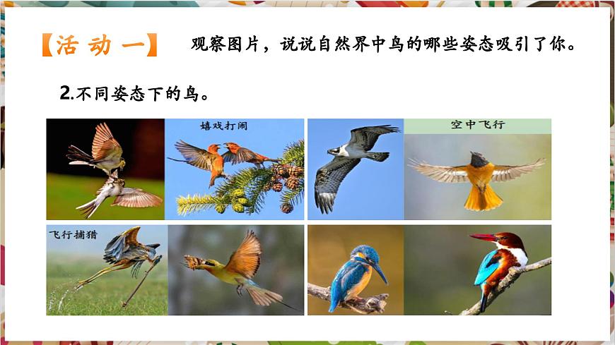 第12課《翩翩起舞之鳥(niǎo)》精美課件（25頁(yè)）第5頁(yè)