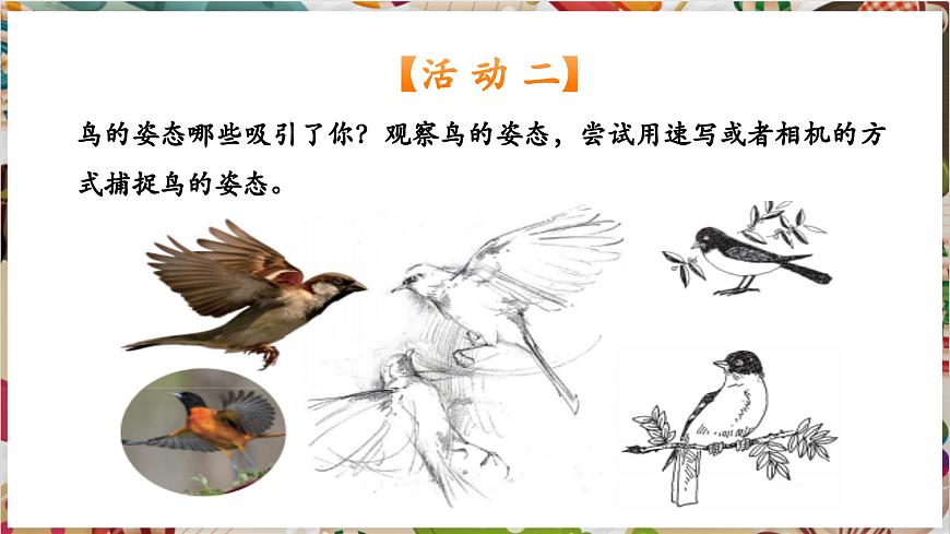 第12課《翩翩起舞之鳥(niǎo)》精美課件（25頁(yè)）第8頁(yè)