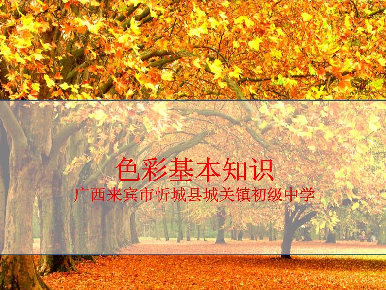 2020—2021学年人教版七年级下册 第二单元 第1课《色彩的魅力》课件第4页