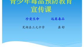 初中拒绝毒品课文内容课件ppt