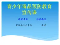 初中体育与健康 华东师大课标版 九年级 拒绝毒品 珍爱生命，远离毒品 课件