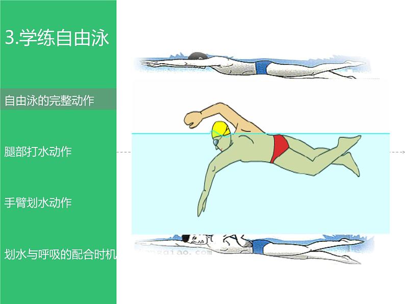 华东师大版八年级体育与健康全一册第五章游泳类运动 课件08