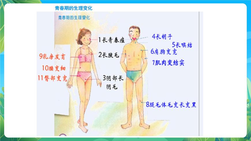 人教版八年級 體育與健康 第一章 第三節(jié) 學會與他人交往 課件第4頁