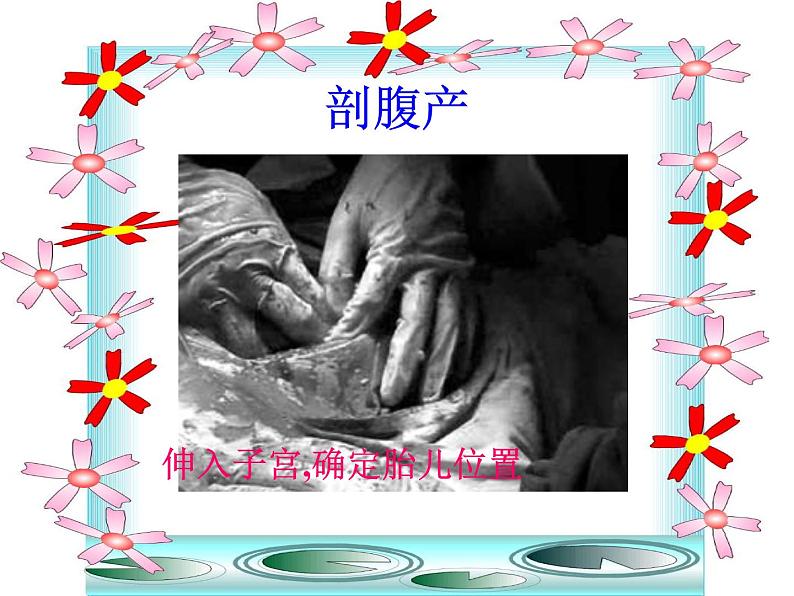 闽教版心理健康七年级 26 珍爱生命 课件PPT07