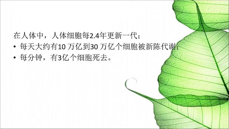 闽教版心理健康七年级 27 衰老与死亡 课件PPT第5页