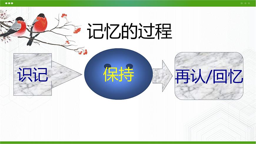 6課我的記憶法寶第7頁(yè)
