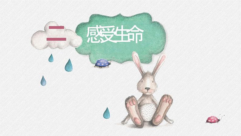 生命教育 课件-感受生命能量05