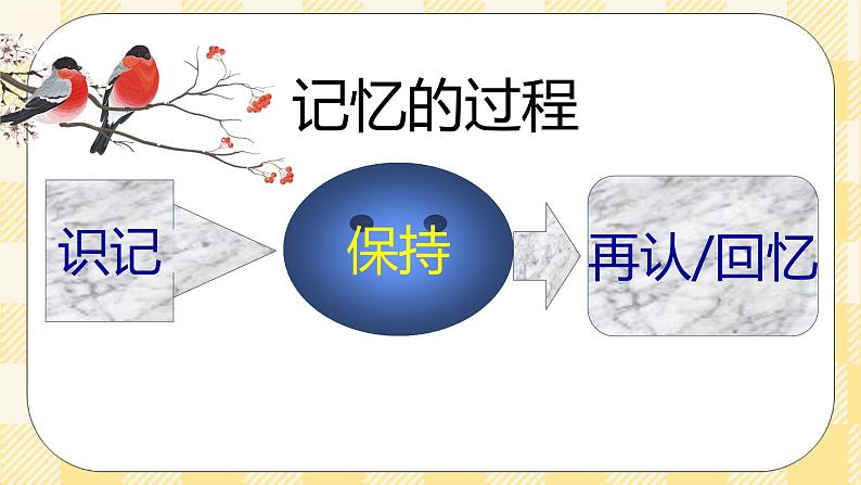北师大版心理健康七年级6课我的记忆法宝 课件08
