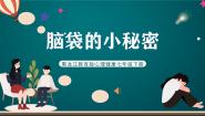 龙教版七年级下册第十八节 脑袋的小秘密精品ppt课件