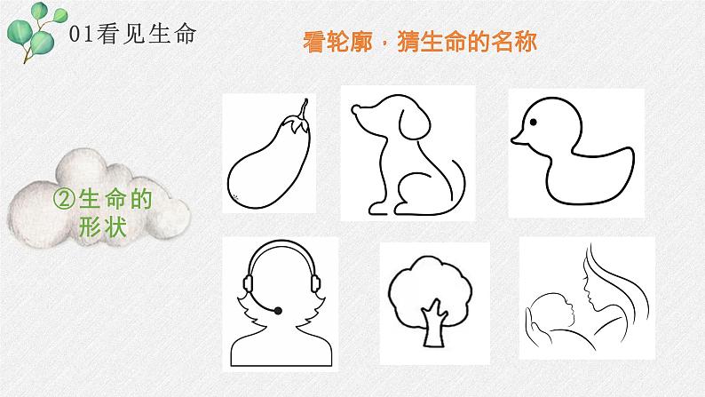 第十八课 感悟生命——感受生命能量 课件 2023—2024学年北师大版(2015)初中心理健康八年级全一册07
