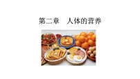 初中生物人教版 (新课标)七年级下册第一节 食物中的营养物质图片ppt课件