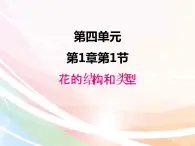 济南版生物八年级上册 4.1.1花的结构和类型 课件