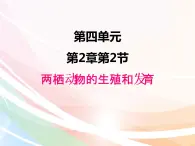 济南版生物八年级上册 4.2.2  两栖动物的生殖和发育 课件