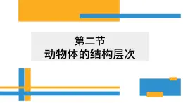 第二单元第二章第二节 动物体的结构层次课件七年级上学期人教版生物