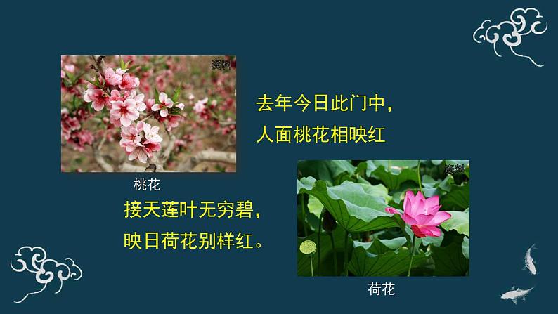 第三单元第二章第二节开花和结果 课件人教版七年级生物上册03