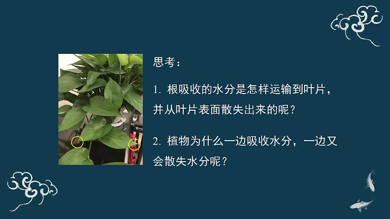 第三单元第三章绿色植物与生物圈的水循环 课件人教版七年级生物上册第6页