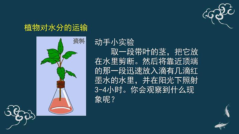 第三单元第三章绿色植物与生物圈的水循环 课件人教版七年级生物上册第7页