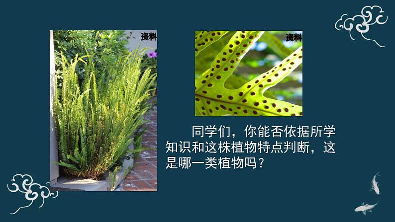 第三单元第一章第一节种子植物 课件人教版七年级生物上册02