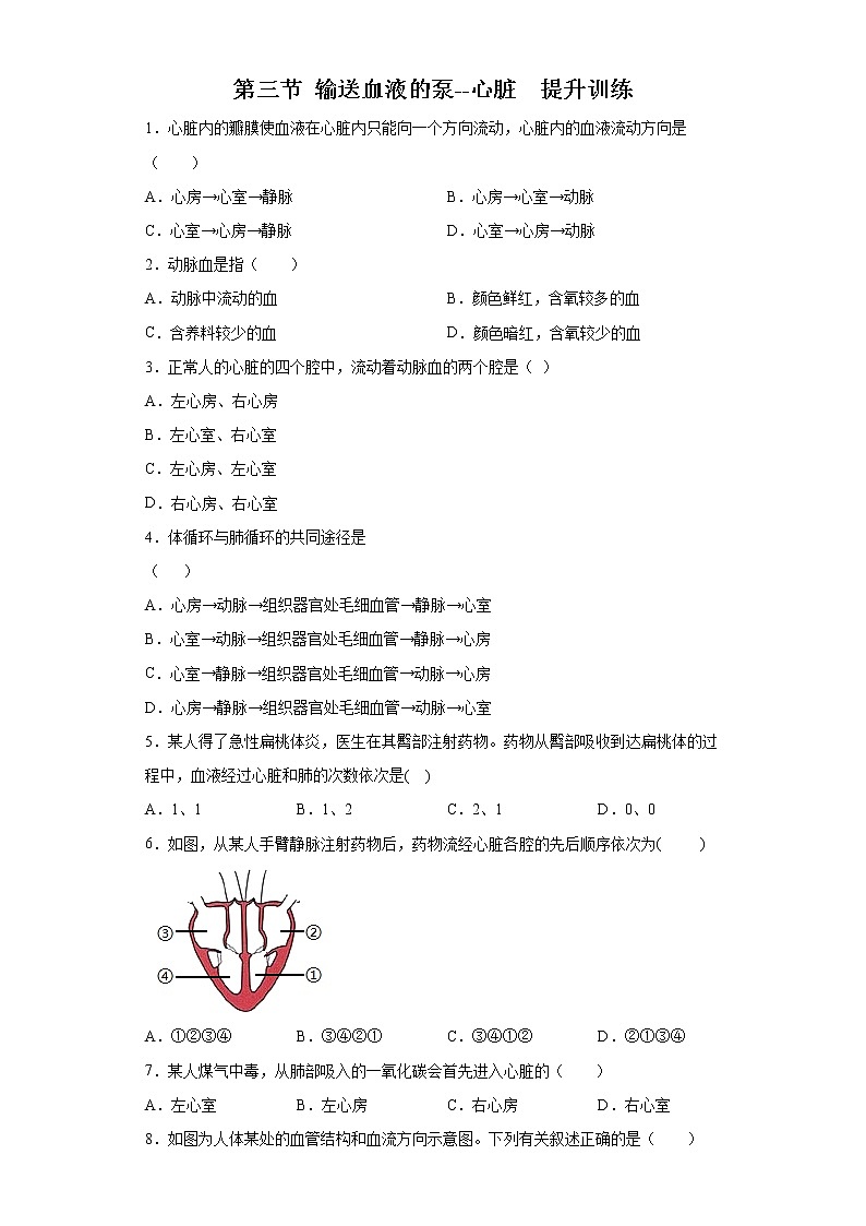 精品解析:4.4.3 输送血液的泵——心脏(练习)-七年级下册生物同步精品课堂(人教版)01