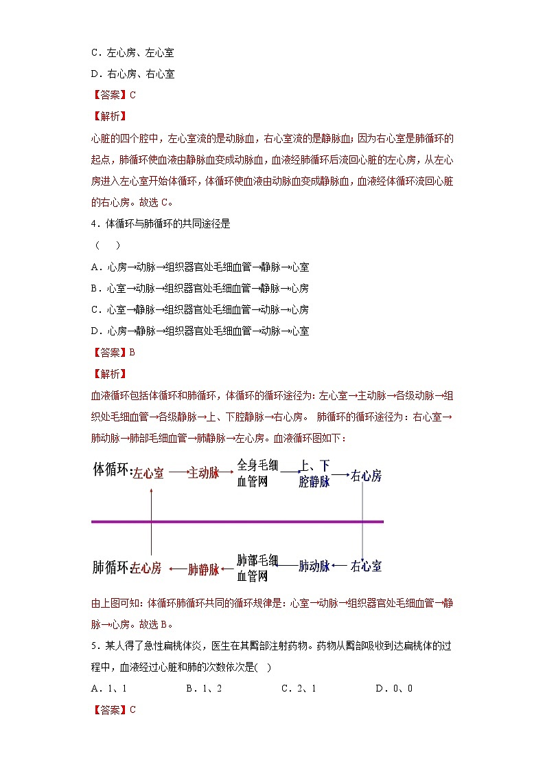 精品解析:4.4.3 输送血液的泵——心脏(练习)-七年级下册生物同步精品课堂(人教版)02