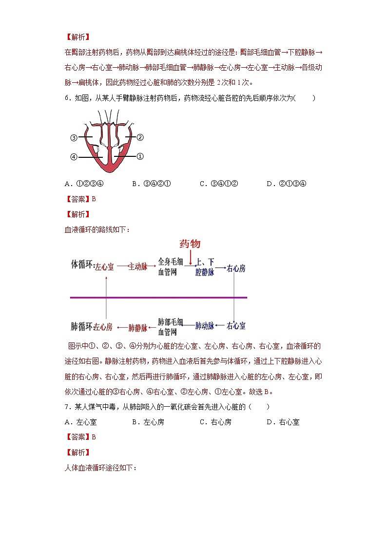 精品解析:4.4.3 输送血液的泵——心脏(练习)-七年级下册生物同步精品课堂(人教版)03