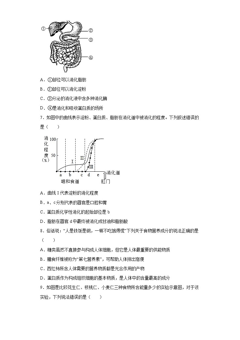 安徽省铜陵市2020-2021学年七年级下学期期中生物试题(word版 含答案)02