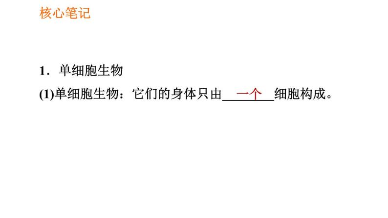 人教版七年级上册生物课件 第二单元 2.2.4 单细胞生物02