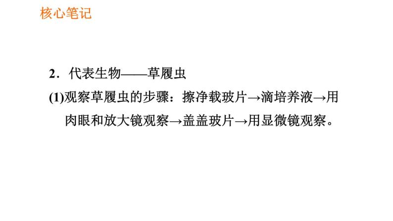 人教版七年级上册生物课件 第二单元 2.2.4 单细胞生物05